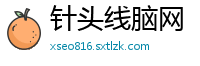针头线脑网